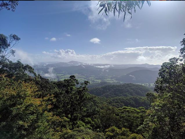 coffs hinterland day trip