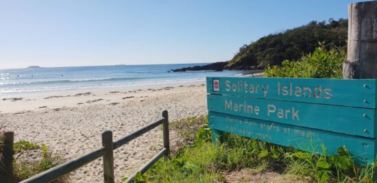 Scenic view of the Solitary Islands Coastal Walk, showcasing lush coastal landscapes, sweeping headlands, and the vibrant blue ocean, with Diggers Beach Cottage in the foreground.